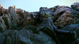 Man vs. Wild: Huge Scale
