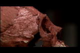 Assignment Discovery: Mayan DNA