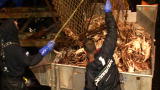play video on Discovery Channel