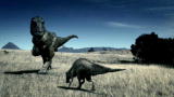 Dino Gangs: T-Rex Packs