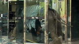 Destroyed in Seconds: Elephants Go Berserk