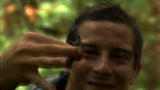 Man vs. Wild: Beetle vs Throat