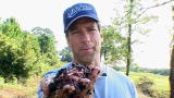Dirty Jobs: Worm Dung Farmer (Full Episode)