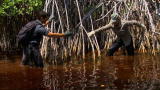Man, Woman, Wild: Trapped in the Bahamas