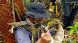 Out of the Wild: Venezuela: Entering The Jungle