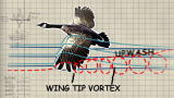 MythBusters: Riding the Vortex
