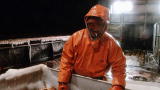 Deadliest Catch: Bitterly Cold Bandit