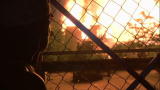 The Colony: Attacked By Arson