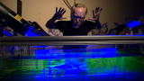 MythBusters: Manhole Mishap