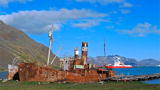 Frozen Planet: Antarctica's Bloody History