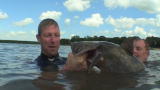 Man vs. Fish: All Bets on the Fish