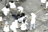 Rampage: Female Prison Riot