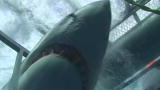Shark Week: Great White Stuck in Cage