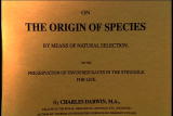 Assignment Discovery Shorts: Darwin Origin of Species