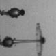 News: Top 5 Science Videos