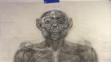 Ardipithecus: Discovering Ardi: Bringing Ardi Back