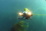 Future Shark :ROV Technology
