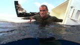 Shark Week: Don't Panic Around Sharks
