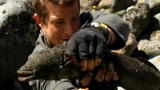 Man vs. Wild: Here, Eeeeely