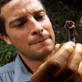 Man vs. Wild: Panamanian Puzzle