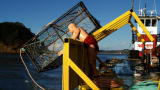 MythBusters: Killer Loop of Death