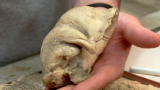 Oddities: Baby Face