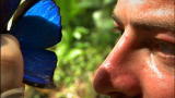 Solving History with Olly Steeds: Butterflies For Cash