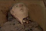 Egypt's Greatest Discoveries: Egypt's Roman Mummies