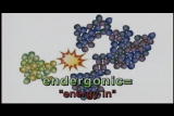 Assignment Discovery Shorts 06/07,07/08: Energy Chemical Reactions