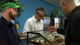 Weed Wars: Seeking A Solution