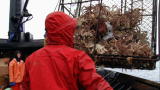 Deadliest Catch: Bandit Hits the Jackpot