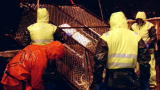 Deadliest Catch: Too Far Northwest