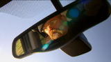 MythBusters: Air Conditioning vs. Windows MiniMyth