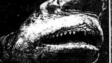 News: Shark Fears Traced