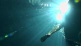 Shark Week 2009: Ankle Biter