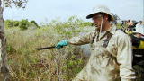 Dirty Jobs: Wetland Warrior