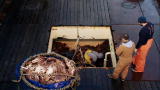 Deadliest Catch: Dead Crab Down Below