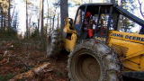 American Loggers: Hand Crew Needed