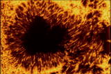 Assignment Discovery Shorts: Sunspots