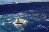 Assignment Discovery Shorts: Tsunami Warning System