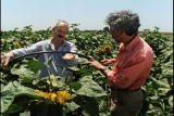 Assignment Discovery Shorts: Using sewage for irrigation