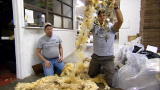 Dirty Jobs: Pure Crap