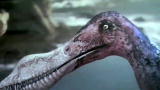 Dinosaur Revolution: Pterosaur Looney Tunes