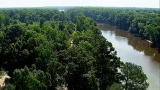 Swamp Loggers: Welcome to Floyd Tract