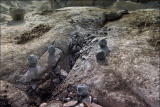 Egypt's Greatest Discoveries: Egypt 10 Quarry Test