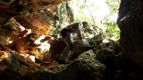 Man vs. Wild : Sourcing Water