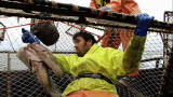After The Catch: Deckhand Mishaps