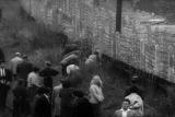 Assignment Discovery Shorts: Berlin Divided