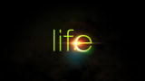 Life: A First Look