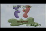 Assignment Discovery Shorts 06/07,07/08: Enzyme Catalysts